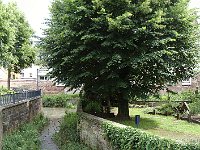 ... le long de la Zorn.